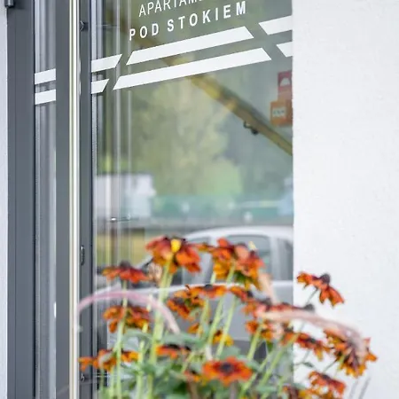 Pod Stokiem Nosal * Закопане