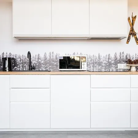 Pod Stokiem Nosal Apartment Zakopane